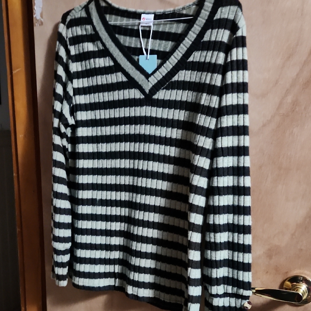 Wiholl Striped V-Neck Sweater in Black and Green